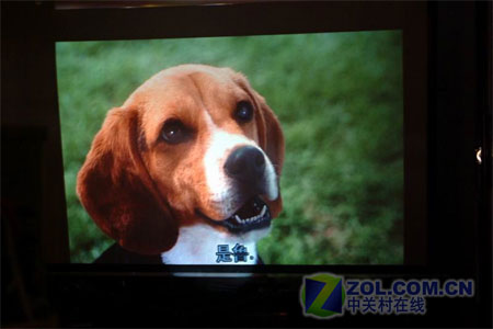 ������Ц ǧԪ����ͶӰ������ɶģ��